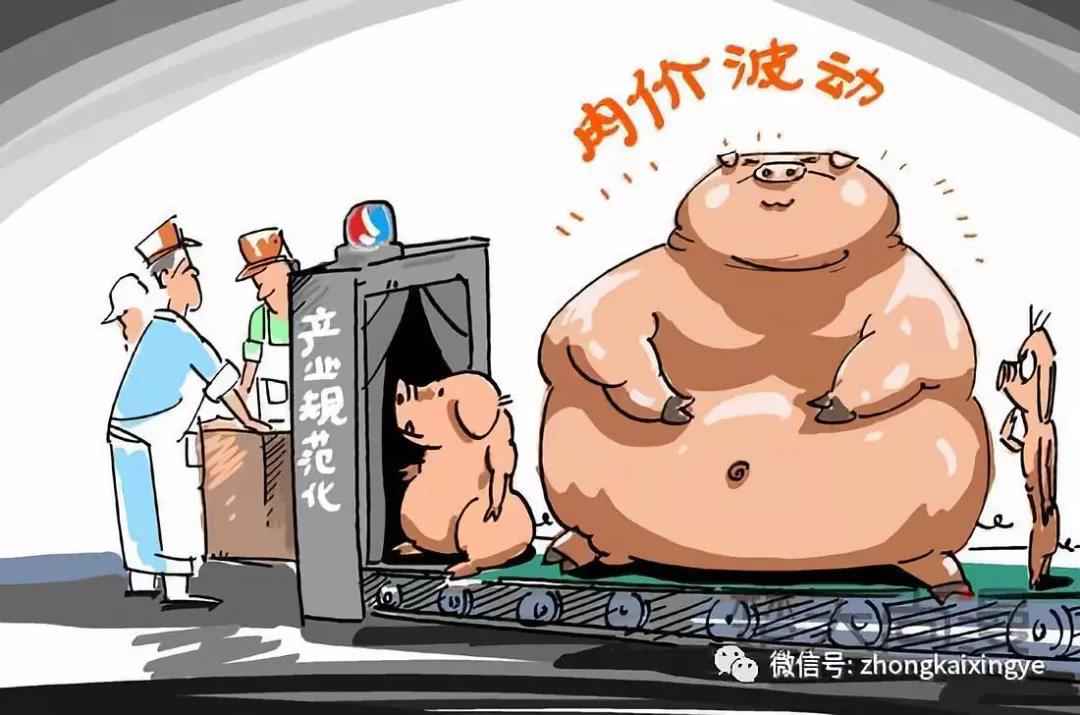 微信图片_20180608143640.jpg